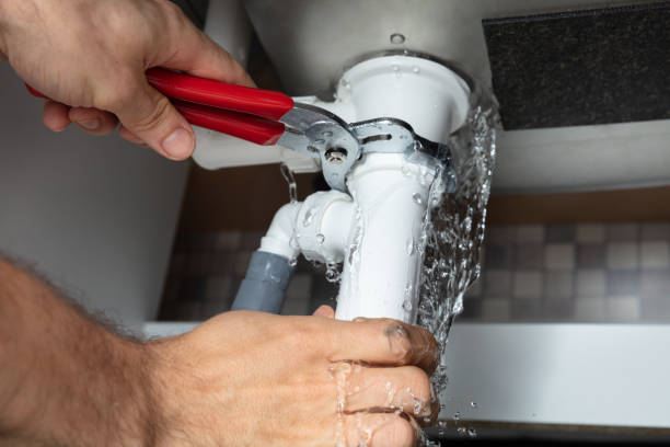 Best Water damage cleanup near me  in Franklin Farm, VA