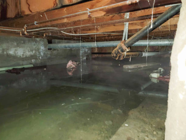 Best Emergency water damage restoration  in Franklin Farm, VA