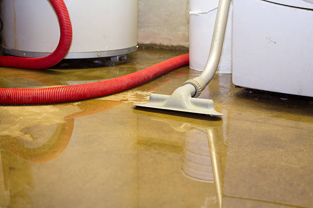 Water damage restoration experts in Franklin Farm, VA