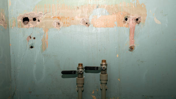 Best Carpet water damage restoration  in Franklin Farm, VA
