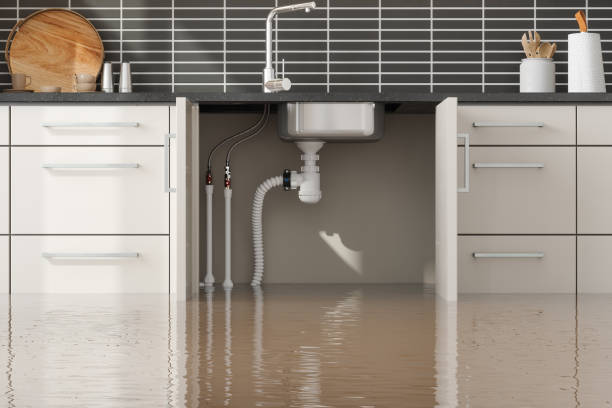 Best Emergency water extraction  in Franklin Farm, VA